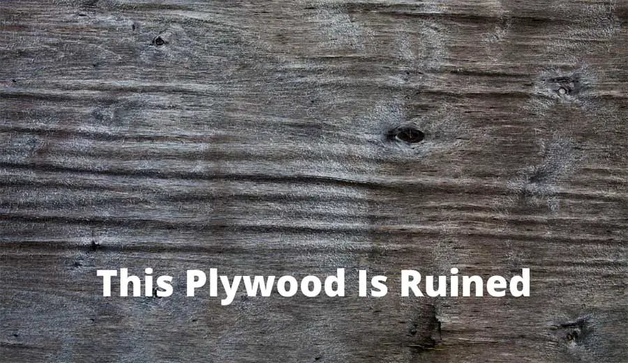 My Plywood Got Wet Is It Ruined For Good Woodwork Hubby My Plywood Got Wet Is It Ruined For Good Woodwork Hubby